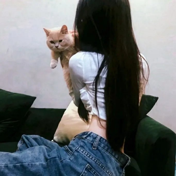 虎王归来